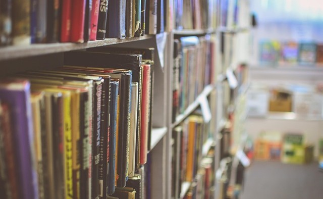 Books on a shelf.